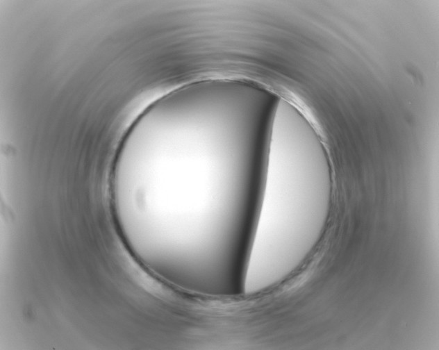 X0000091360803200708101054