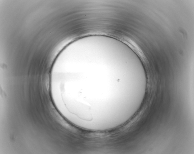 X0000091360804200708101054