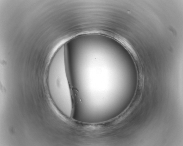 X0000091360805200708101053