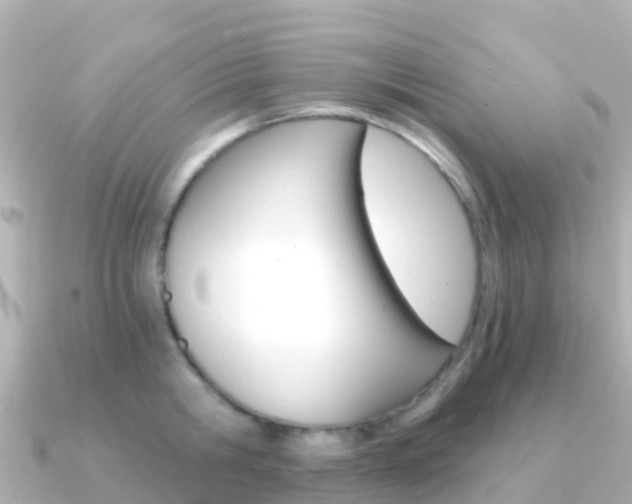 X0000091360806200708101053