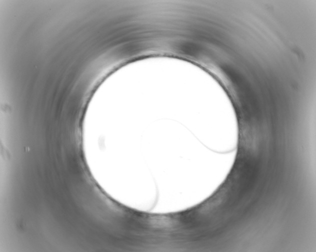X0000091360807200708101053