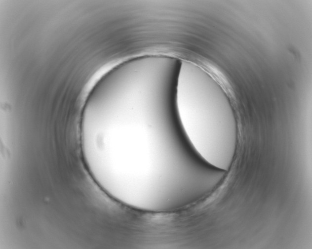 X0000091360808200708101053