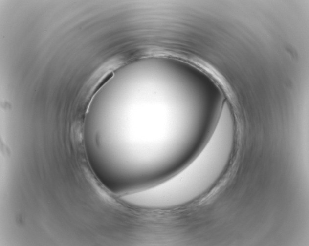 X0000091360809200708101053