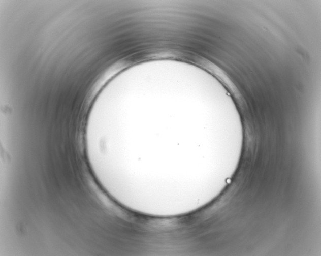 X0000091360810200708101053