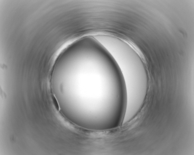 X0000091360813200708101053