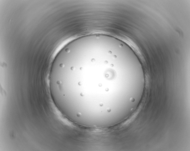X0000091360814200708101053