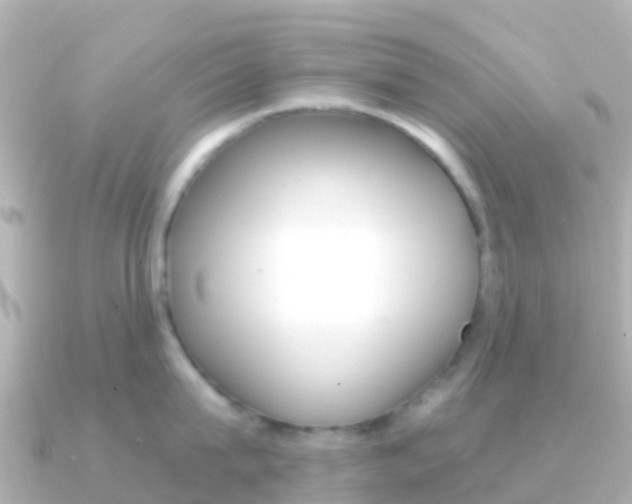 X0000091360815200708101053