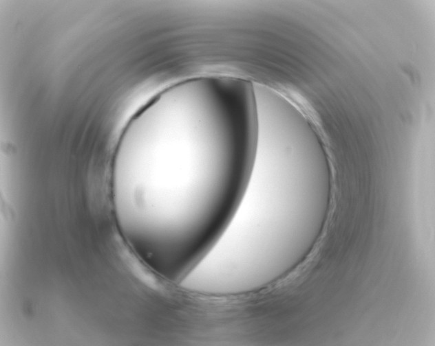 X0000091360816200708101053