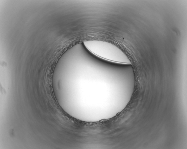 X0000091360817200708101053