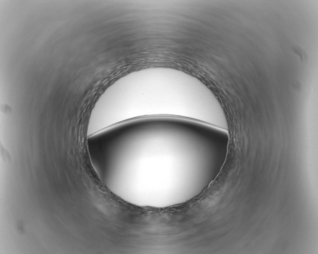 X0000091360818200708101053