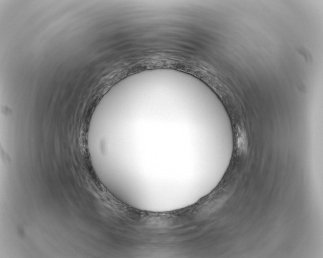 X0000091360819200708101053