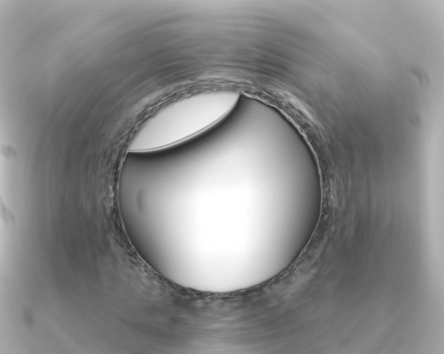 X0000091360821200708101053