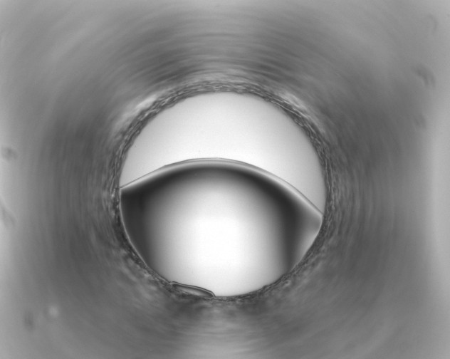 X0000091360822200708101053