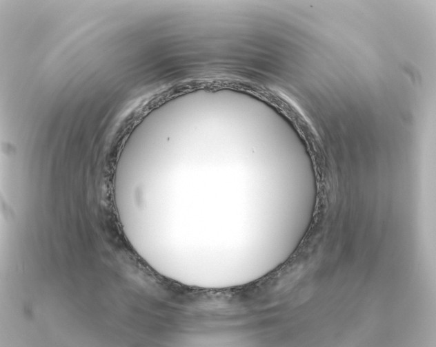 X0000091360823200708101053