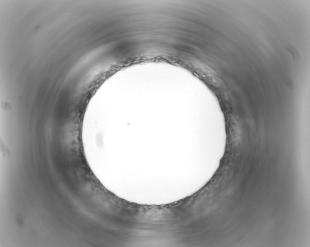 X0000091360824200708101053