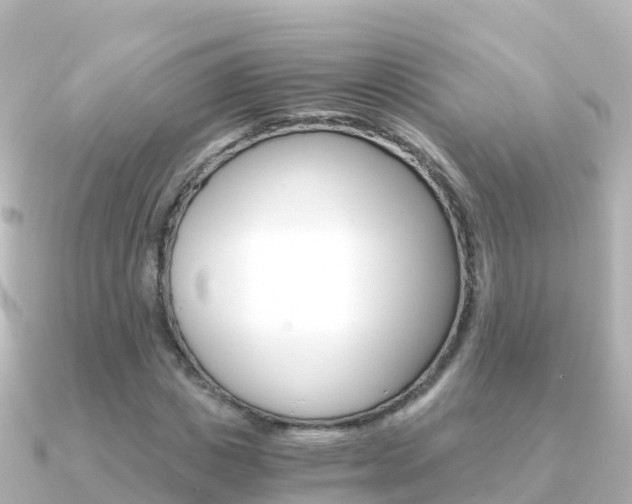 X0000091360825200708101053