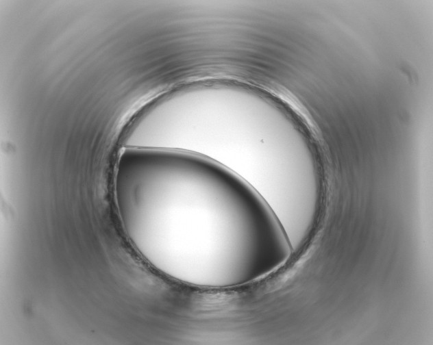 X0000091360826200708101053
