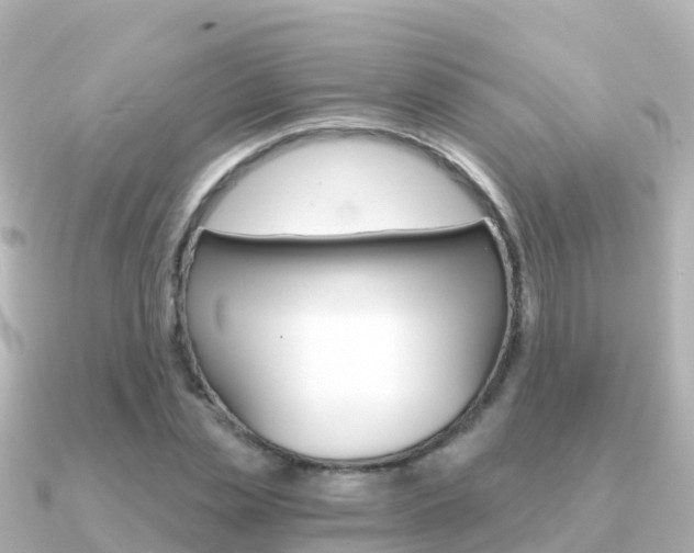 X0000091360829200708101053