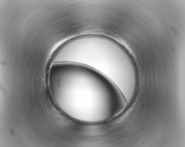 X0000091360830200708101053