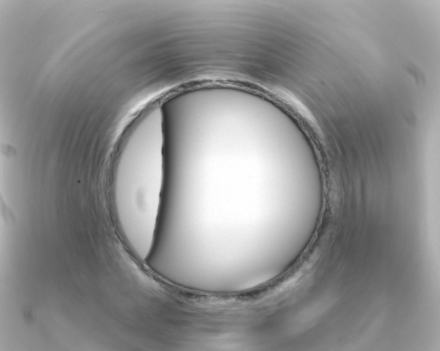 X0000091360831200708101053