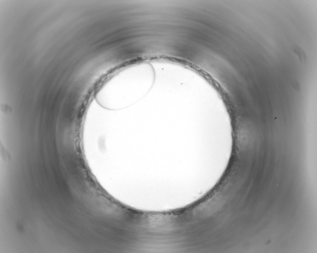 X0000091360832200708101053