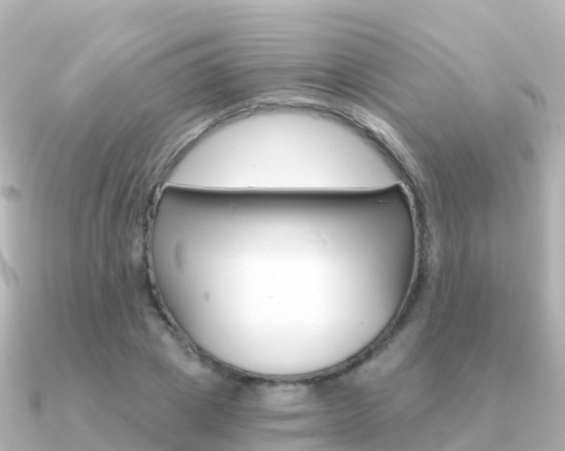 X0000091360833200708101053
