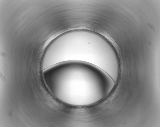 X0000091360834200708101053