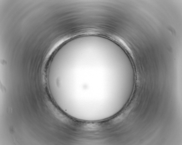 X0000091360835200708101053