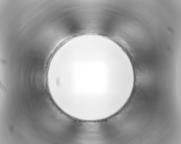 X0000091360836200708101053