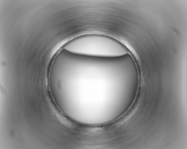 X0000091360837200708101053