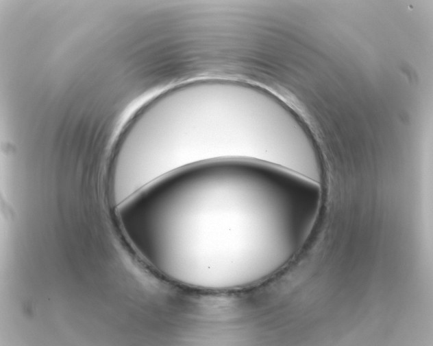 X0000091360838200708101053