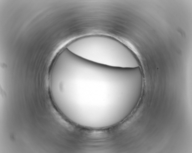 X0000091360839200708101053