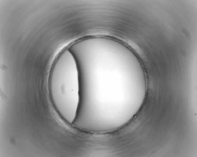 X0000091360840200708101053