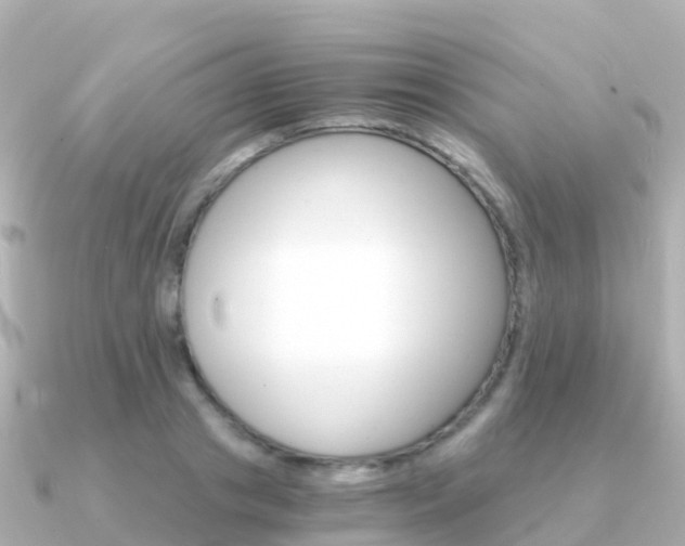 X0000091360841200708101053