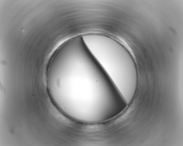 X0000091360843200708101053
