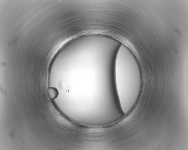 X0000091360844200708101053