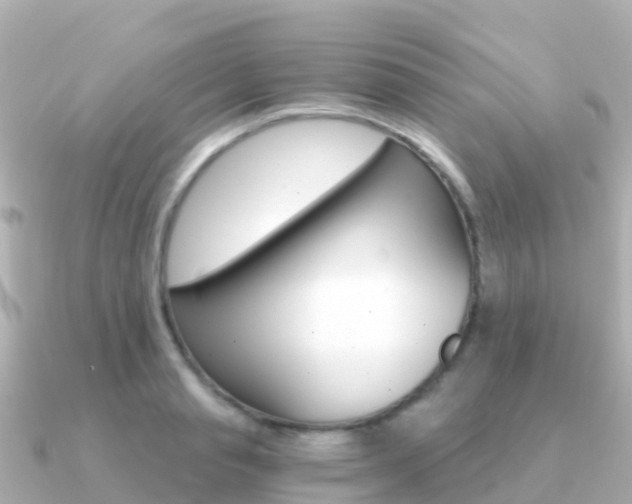 X0000091360845200708101053