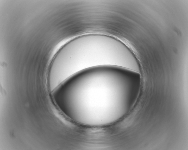 X0000091360846200708101053
