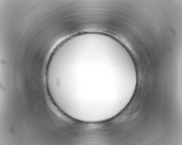 X0000091360848200708101053