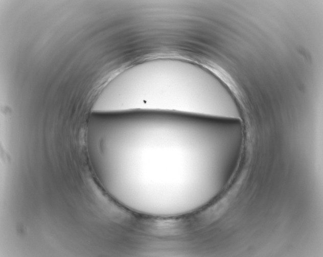 X0000091360849200708101053