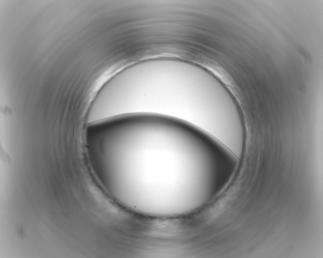 X0000091360850200708101053