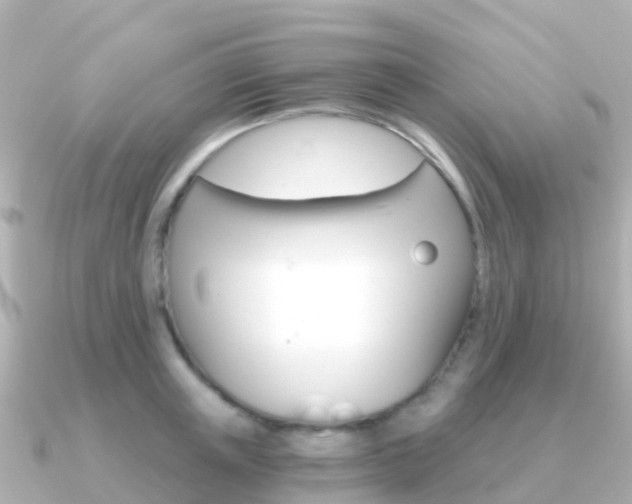 X0000091360851200708101053