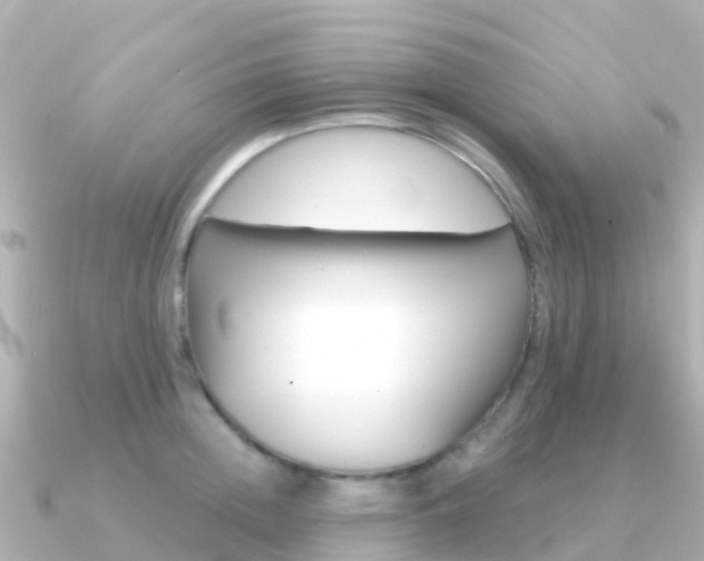 X0000091360852200708101053