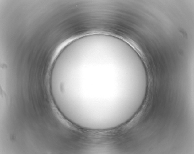X0000091360854200708101053