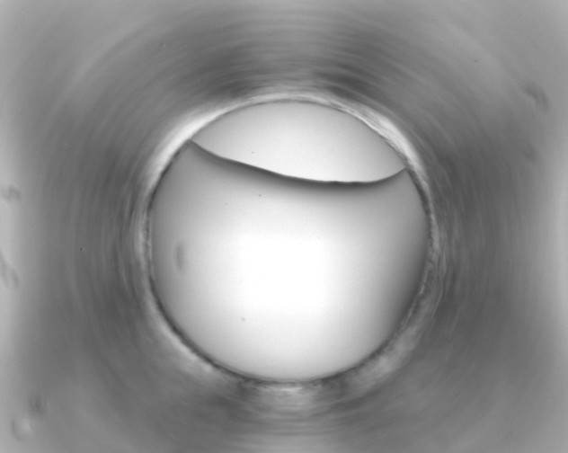 X0000091360855200708101053