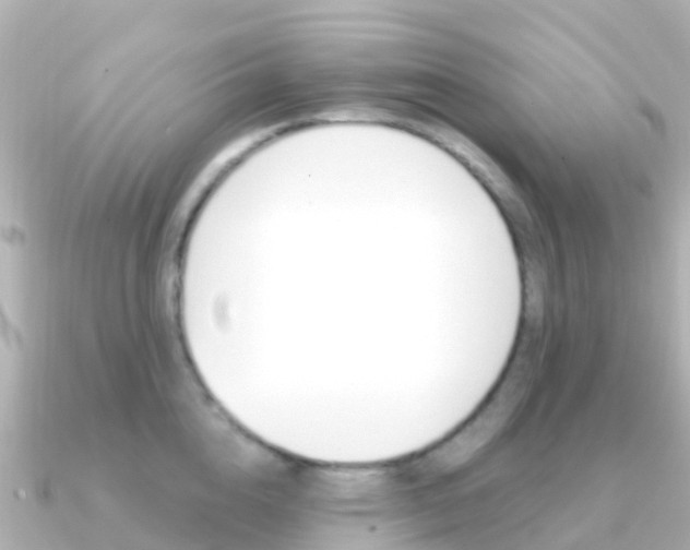 X0000091360856200708101053