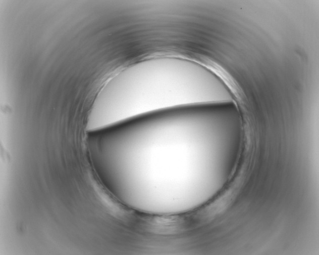X0000091360857200708101053