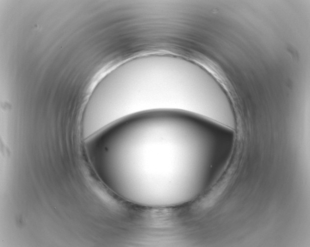 X0000091360858200708101053