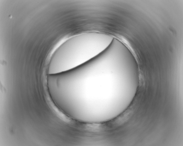 X0000091360859200708101053
