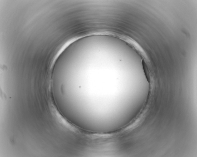 X0000091360860200708101053